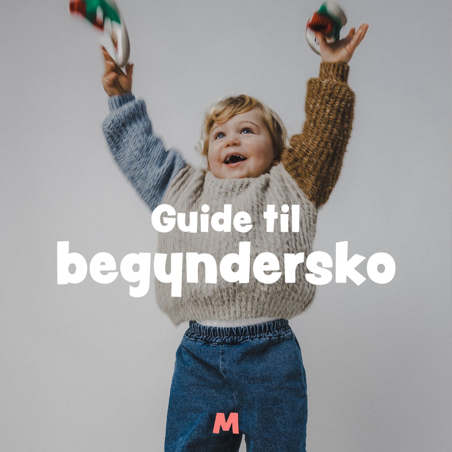Guide til begyndersko